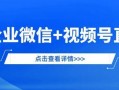 营销号自我爆料视频文案,自我爆料视频文案背后的秘密
