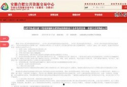 合肥王先生最新爆料,揭秘背后惊人真相！